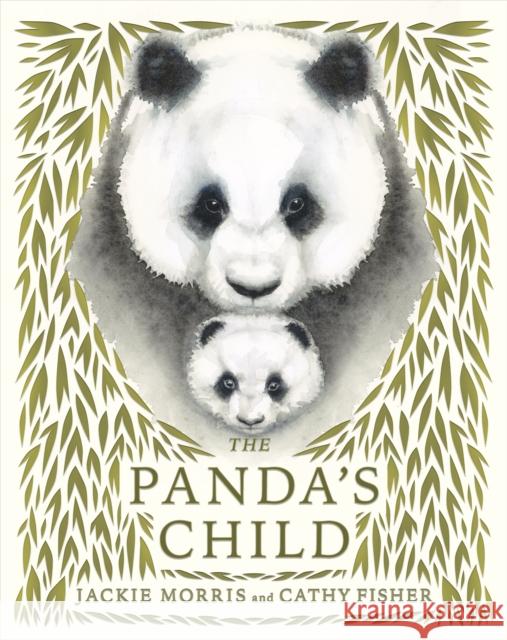 The Panda's Child Jackie Morris 9781915659057 Otter-Barry Books Ltd - książka