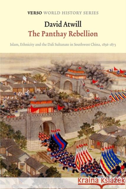 The Panthay Rebellion: Islam, Ethnicity and the Dali Sultanate in Southwest China, 1856-1873 Atwill, David 9781804290545 Verso Books - książka