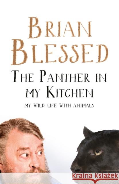 The Panther In My Kitchen: My Wild Life With Animals Brian Blessed 9781509841585  - książka