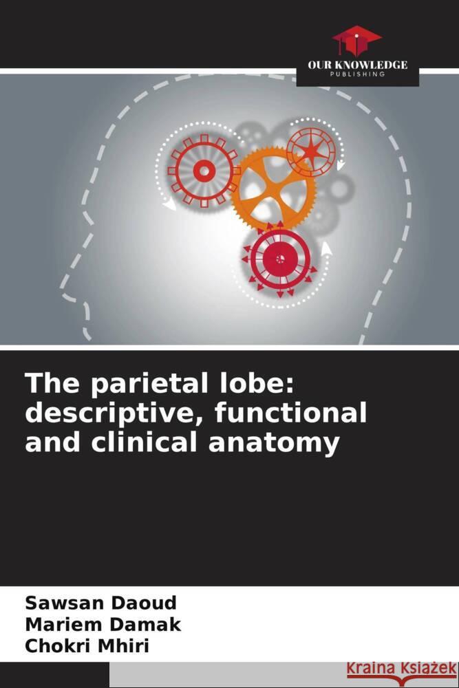 The parietal lobe: descriptive, functional and clinical anatomy Sawsan Daoud Mariem Damak Chokri Mhiri 9786207207299 Our Knowledge Publishing - książka