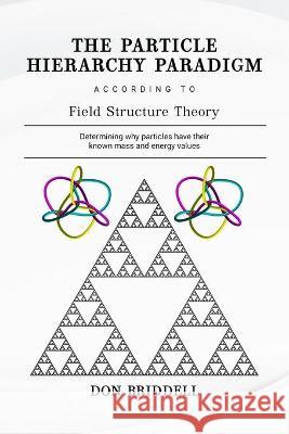 The Particle Hierarchy Paradigm: According to Field Structure Theory Don Briddell 9781735704104 Field Structure Institute - książka