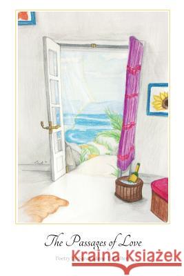 The Passages of Love Sandradene T. Walters 9781500626471 Createspace - książka