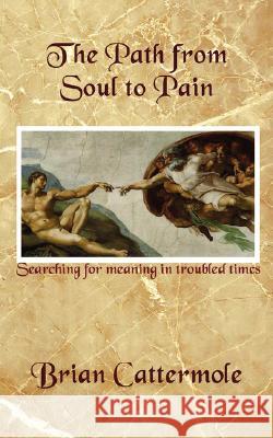 The Path from Soul to Pain: Searching for Meaning in Troubled Times Brian Cattermole 9781847481092 New Generation Publishing - książka