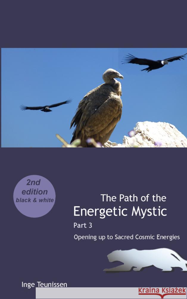 The Path of the Energetic Mystic Inge Teunissen 9789403798691 Bookmundo - książka