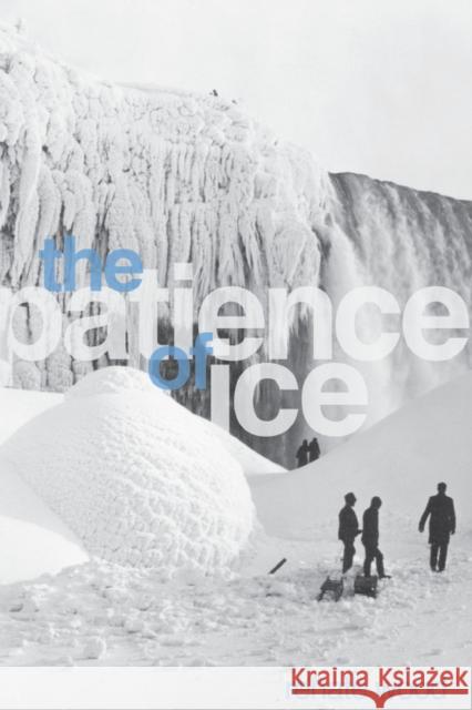 The Patience of Ice Renate Wood 9780810151055 Triquarterly Books - książka