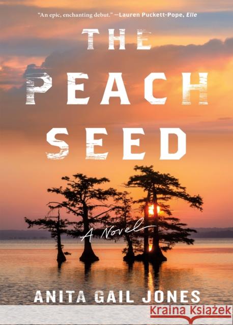 The Peach Seed Anita Gail Jones 9781250872043 Holt Paperbacks - książka