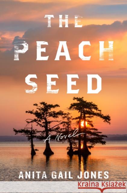 The Peach Seed Anita Gail Jones 9781250872050 St Martin's Press - książka