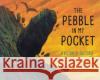 The Pebble in My Pocket: A History of Our Earth Meredith Hooper 9781847807687 Quarto Publishing PLC