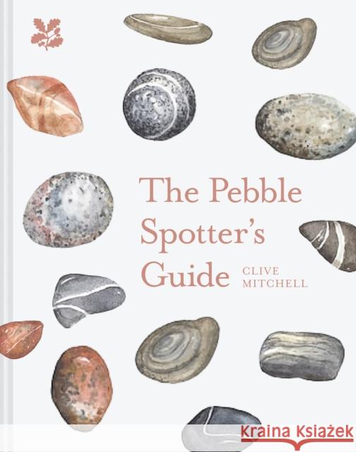 The Pebble Spotter's Guide Clive J. Mitchell 9781911657309 HarperCollins Publishers - książka