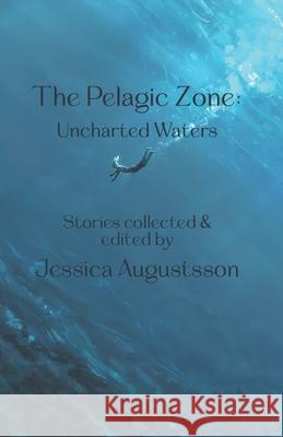 The Pelagic Zone: Uncharted Waters Gustavo Bondoni Stephen A. Roddewig Adam Fout 9789198907698 Jayhenge Publishing Kb - książka
