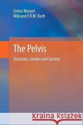 The Pelvis: Structure, Gender and Society Marani, Enrico 9783662524602 Springer - książka