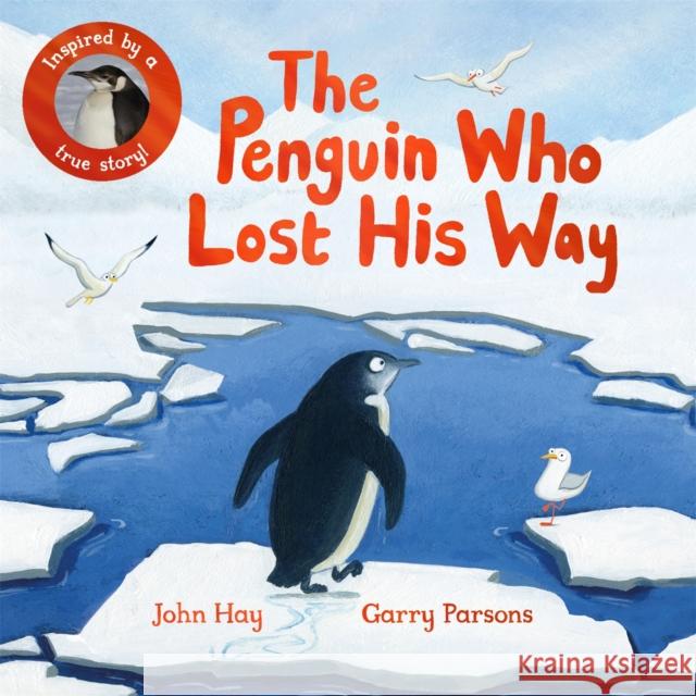 The Penguin Who Lost His Way: Inspired by a True Story John Hay 9781529070484 Pan Macmillan - książka