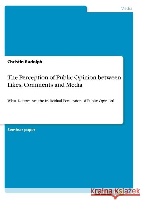 The Perception of Public Opinion between Likes, Comments and Media: What Determines the Individual Perception of Public Opinion? Rudolph, Christin 9783668938359 GRIN Verlag - książka