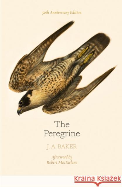 The Peregrine: 50th Anniversary Edition: Afterword by Robert Macfarlane J. A. Baker 9780008216214 HarperCollins Publishers - książka