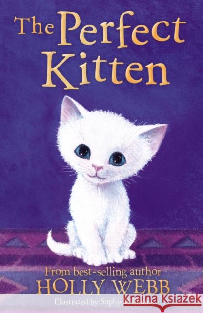 The Perfect Kitten Holly Webb Sophy Williams  9781788950176 Little Tiger Press Group - książka