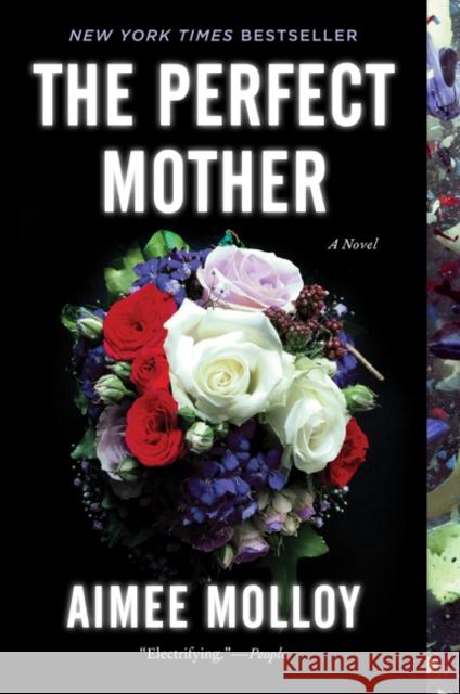 The Perfect Mother Aimee Molloy 9780062696809 Harper Paperbacks - książka