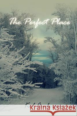 The Perfect Place Kol Anderson 9781499211948 Createspace Independent Publishing Platform - książka