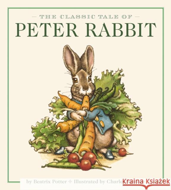 The Peter Rabbit Oversized Board Book (the Revised Edition): Illustrated by New York Times Bestselling Artist Potter, Beatrix 9781646432318 Applesauce Press - książka