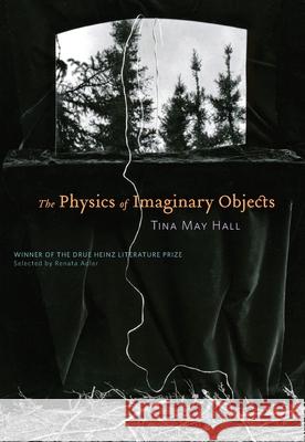 The Physics of Imaginary Objects Tina May Hall 9780822961550 University of Pittsburgh Press - książka