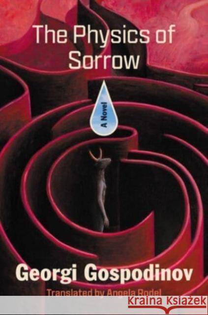 The Physics of Sorrow - A Novel  9781324094890  - książka