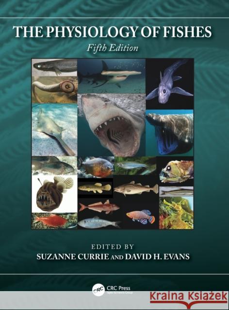 The Physiology of Fishes Suzanne Currie David H. Evans 9780367541095 CRC Press - książka