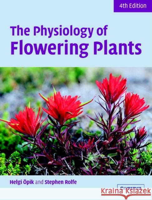 The Physiology of Flowering Plants Helgi Opik Stephen Rolfe Arthur J. Willis 9780521664851 Cambridge University Press - książka