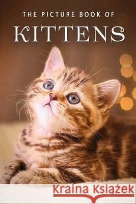 The Picture Book of Kittens: A Gift Book for Alzheimer's Patients or Seniors with Dementia Sunny Street Books 9781699702154 Independently Published - książka