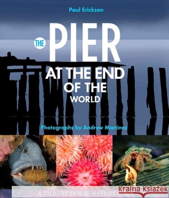 The Pier at the End of the World Paul Erickson Andrew Martinez 9780884483823 Tilbury House Publishers - książka