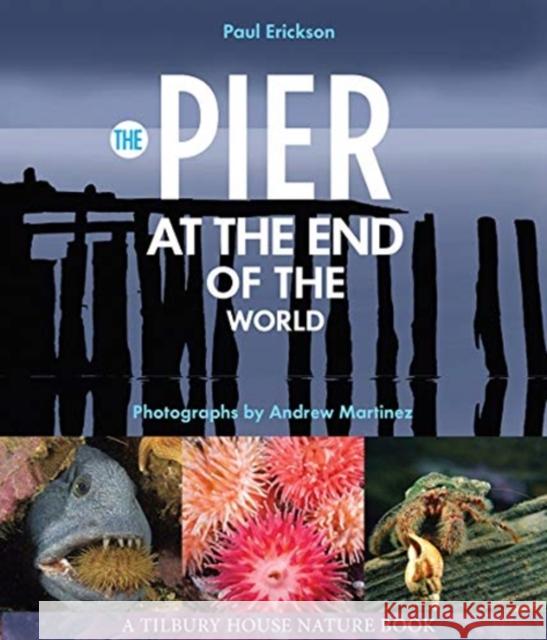 The Pier at the End of the World  9780884489184 Tilbury House Publishers - książka