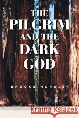 The Pilgrim and the Dark God Brooks Horsley 9781663231628 iUniverse - książka