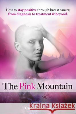 The Pink Mountain Cindy Needham 9781989848036 Follow It Thru - książka