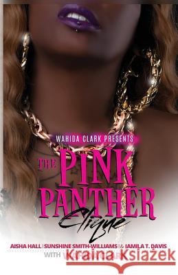 The Pink Panther Clique Aisha Hall Sunshine Smith-Williams Jamila T. Davis 9781936649556 Wahida Clark Presents Publishing, LLC - książka