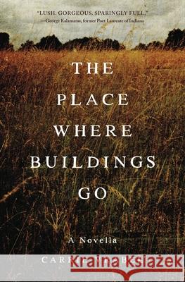 The Place Where Buildings Go Carrie Vrabel 9781735654003 Permanent Record Press - książka