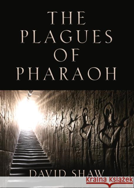 The Plagues of Pharaoh David Shaw 9781647195540 Abuzz Press - książka