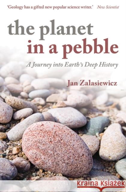 The Planet in a Pebble: A journey into Earth's deep history Jan (Professor of Palaeobiology, University of Leicester) Zalasiewicz 9780199645695 Oxford University Press - książka