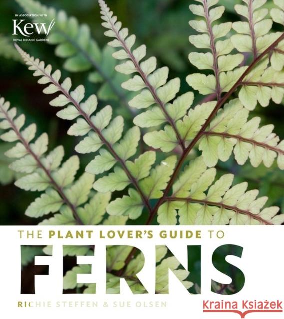 The Plant Lover's Guide to Ferns Steffen, Richie 9781604694741 Timber Press (OR) - książka