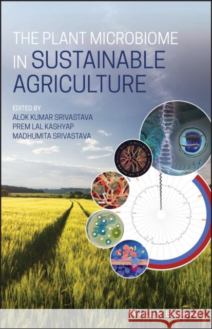 The Plant Microbiome in Sustainable Agriculture Alok Kumar Srivastava Prem Lal Kashyap Madhumita Srivastava 9781119505167 Wiley-Blackwell - książka