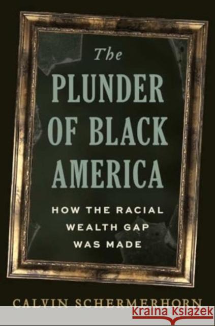 The Plunder of Black America: How the Racial Wealth Gap Was Made Calvin Schermerhorn 9780300258950 Yale University Press - książka