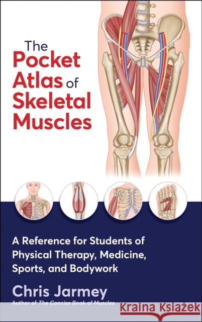 The Pocket Atlas of Skeletal Muscles Chris Jarmey 9781718226951 Human Kinetics Publishers - książka