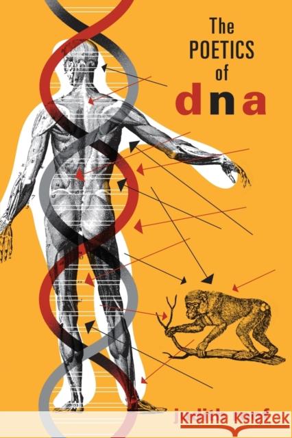 The Poetics of DNA Judith Roof 9780816649983 University of Minnesota Press - książka