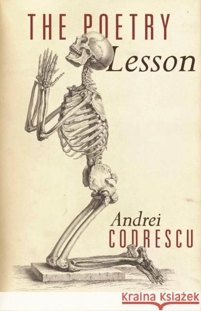 The Poetry Lesson Codrescu, Andrei 9780691178059 John Wiley & Sons - książka