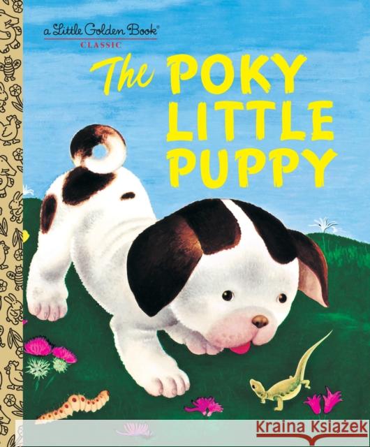 The Poky Little Puppy Janette Sebring Lowrey 9780307021342  - książka