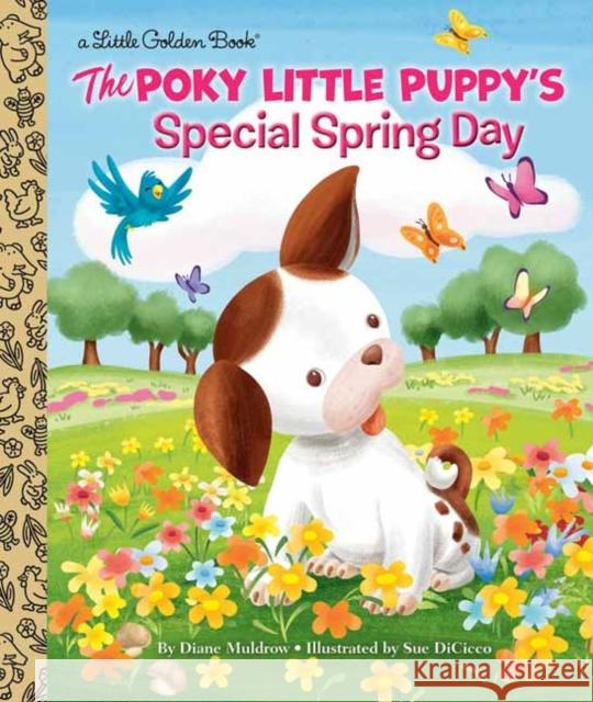 The Poky Little Puppy's Special Spring Day Diane Muldrow Sue Dicicco 9780593127759 Golden Books - książka