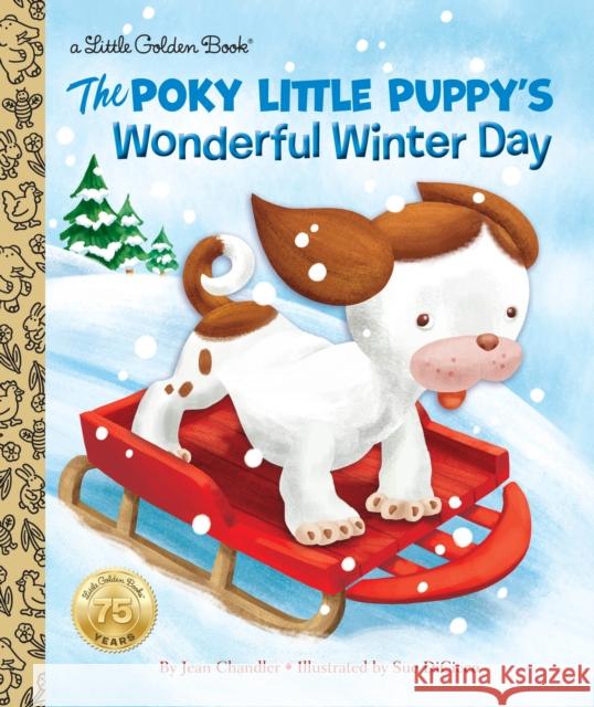 The Poky Little Puppy's Wonderful Winter Day Jean Chandler Sue DiCicco 9780399552922 Random House USA Inc - książka