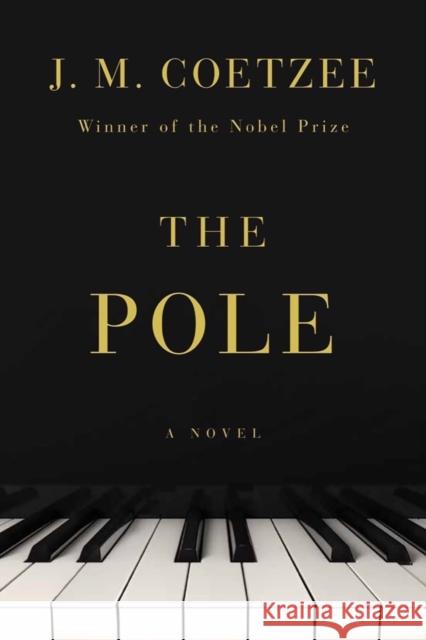 The Pole - A Novel  9781324093862 Liveright Publishing Corporation - książka