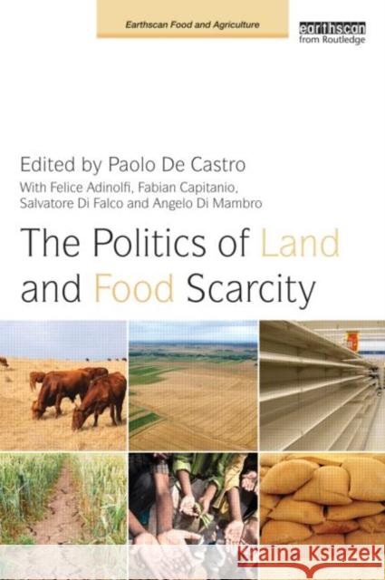 The Politics of Land and Food Scarcity Paolo De Castro 9780415638241  - książka