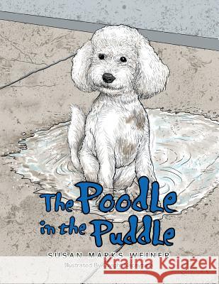 The Poodle in the Puddle Susan Marks Weiner 9781503588561 Xlibris Corporation - książka