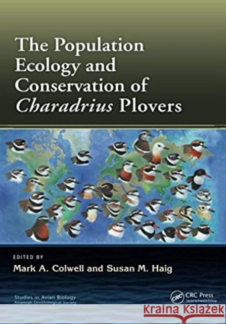 The Population Ecology and Conservation of Charadrius Plovers Mark A. Colwell Susan M. Haig 9780367729974 CRC Press - książka