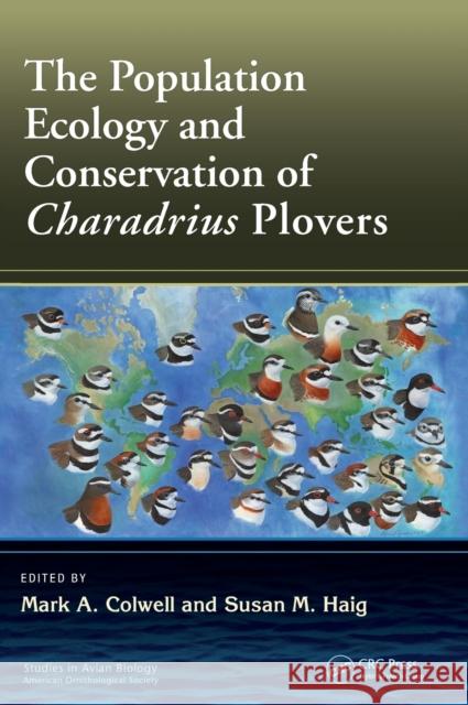 The Population Ecology and Conservation of Charadrius Plovers Mark A. Colwell Susan M. Haig 9781498755825 CRC Press - książka