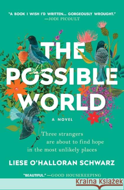 The Possible World Liese O. Schwarz 9781501166150 Scribner Book Company - książka